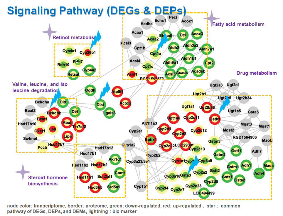 signaliing pathway, node color: transcriptome, border: proteome, green: down-regulated, red: up-regulated, star: common pathway of DEGs, DEPs, and DEMs, lightning :bio marker