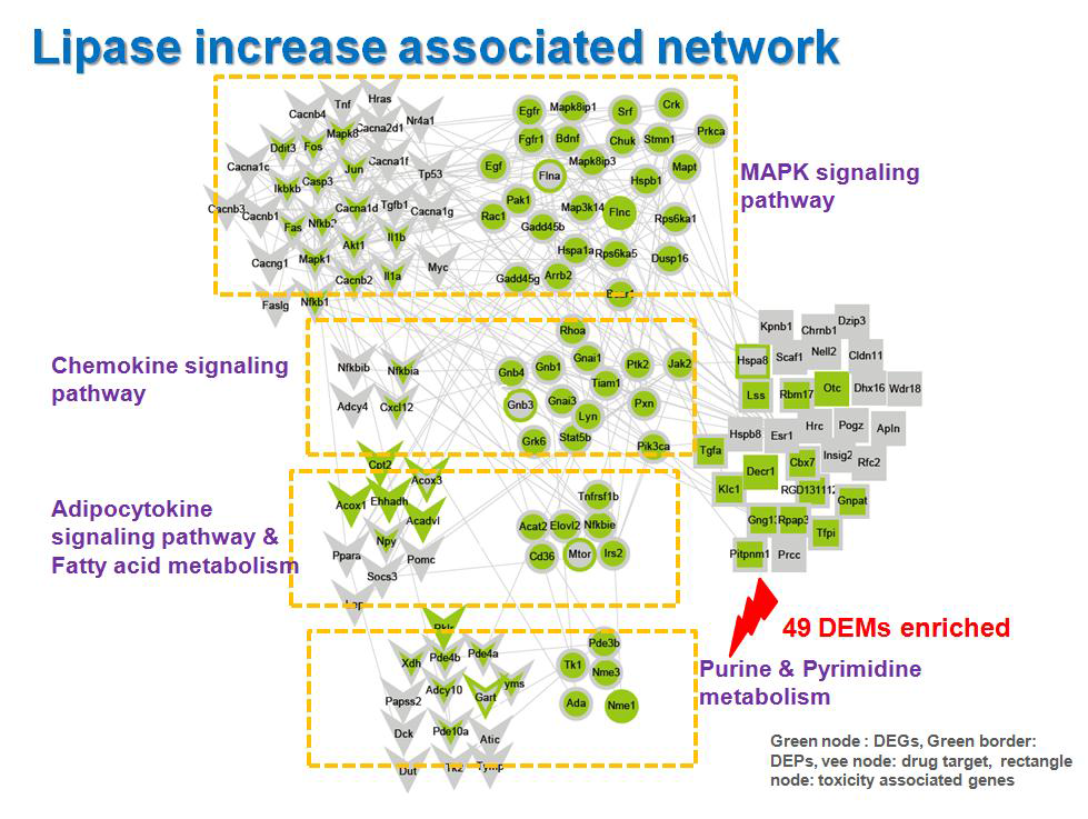 Lipase increase associated network