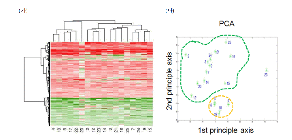 (가) 13번이상 DEGs으로 뽑힌 유전자들의 발현양에 대한 clustering 결과. (나)유전자 발현양에 대한 PCA분석.