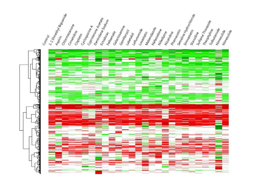 27개의 약물 반응 시스템에서 유의미하게 증가/감소한 3633개의 유전자에 대한 clustering 결과