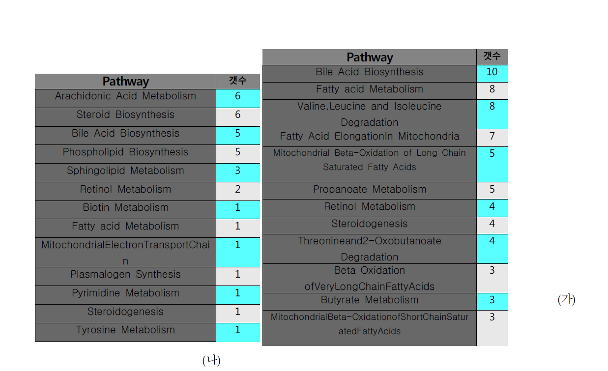(가) 20개의 약물 처리 시 10개 이상에서 대조군 대비 증가하는 대사체가 관여하는 대사활동 (나) 20개의 약물 처리 시 10개 이상에서 대조군 대비 감소하는 대사체가 관여하는 대사활동