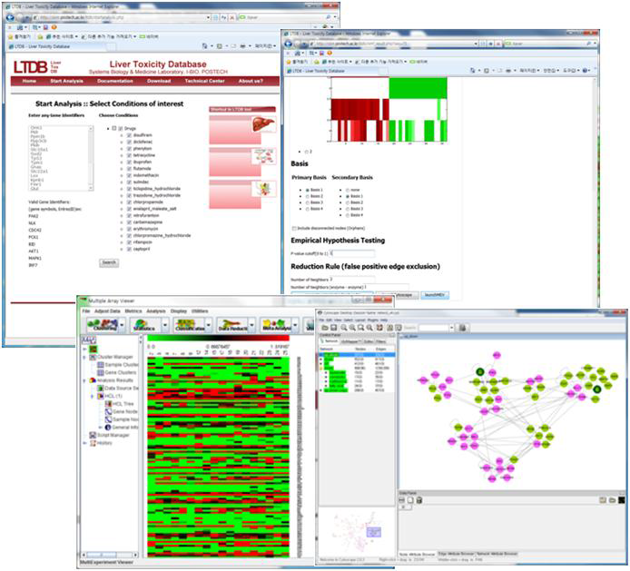 Liver Toxicity Database를 사용하여 데이터를 분석하는 과정