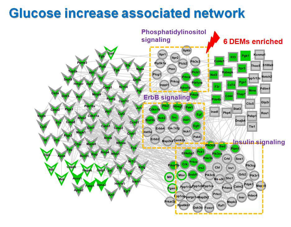 Glucose increase associated network