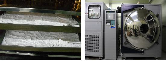 혼합된 파우더 반죽 시료의 건조에 사용된 냉동 건조기: (왼쪽) 내부, (오른쪽) 외부