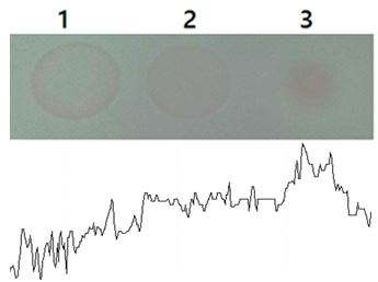 항체 수식화된 PDA리포좀 기반 센서의 반응특이성 확인을 위한 반응용액 RC 결과 및 image J analysis 이미지
