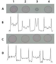 BSA처리 전후 용액의 RC결과 및 image J 분석 결과 A,B : BSA처리 전, C,D : BSA처리 후 1: AuNP, 2: HEPES, 3: PBS, 4: E.coli O157:H7