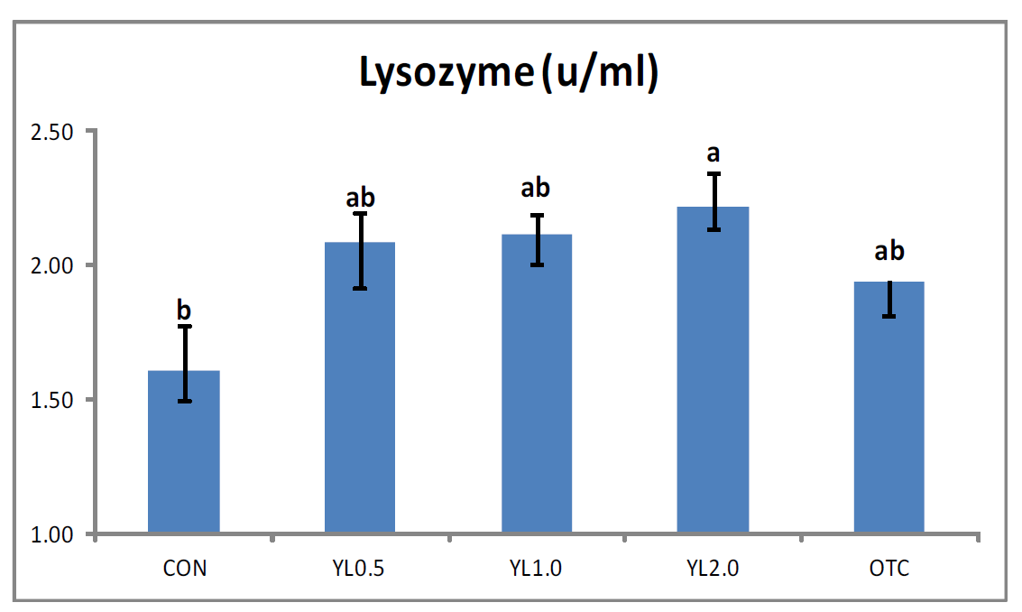 실험사료에 의한 12주간 사육실험 후, 무지개송어의 Lysozyme activity