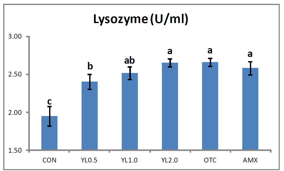실험사료에 의한 12주간 사육실험 후, 뱀장어의 Lysozyme activity