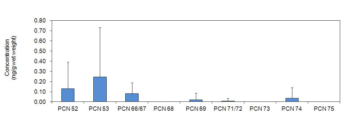 Level of PCNs based wet weight in the beef