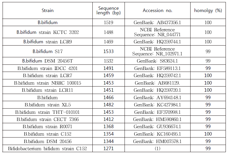 락토바실루스 비피두스에 대한 16s rRNA homology 비교