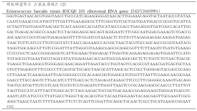락토바실루스 스포로게네스에 대한 16s rRNA sequence