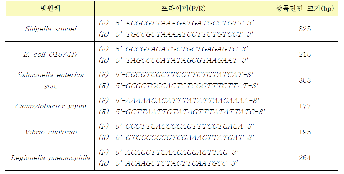 수인성 세균 진단마커 프라이머