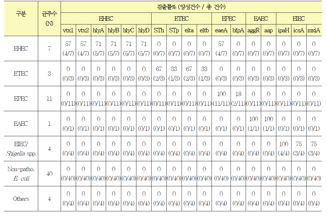 병원성대장균 Fast real-time PCR 검출률