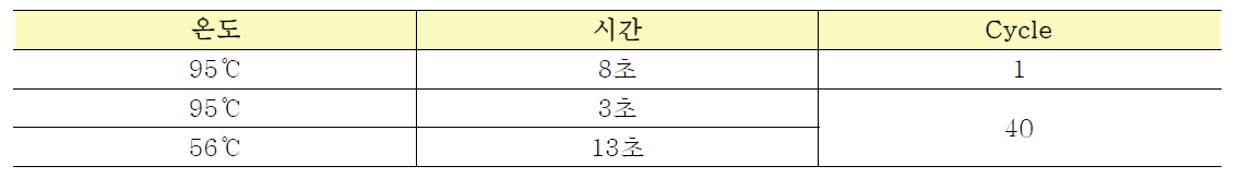 Ultrafast real-time PCR을 위해 제작한 primer 및 probe 정보