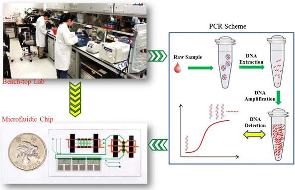 chip-based microfluidic real-time PCR 모식도