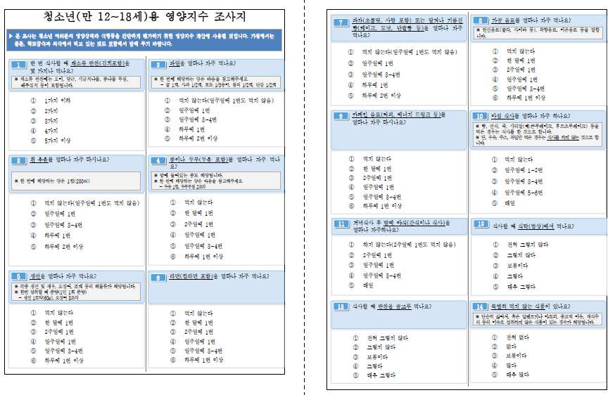 청소년용 영양지수 조사지