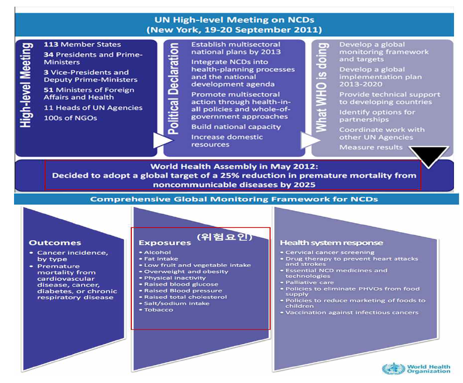 비전염성 만성질환에 대한 건강행태 및 건강 수준의 국제 모니터링