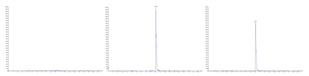 (A) 우유에 분석물질을 첨가하지 않은 blank 시료, (B) 전처리한 우유 최종적으로 분석물질을 첨가한 시료, (C) 우유에 분석물질을 첨가하여 전처리한 시료