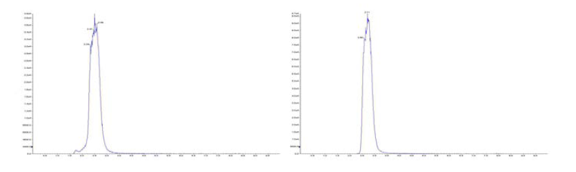 (A) 아미노피린(2.5분), (B) 안티피린(2.7분) 표준품의 크로마토그램
