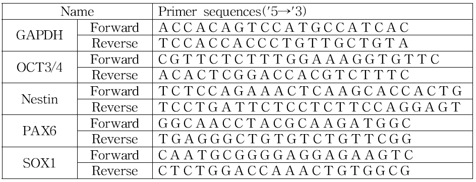 RT-PCR에 사용된 Primer의 염기서열