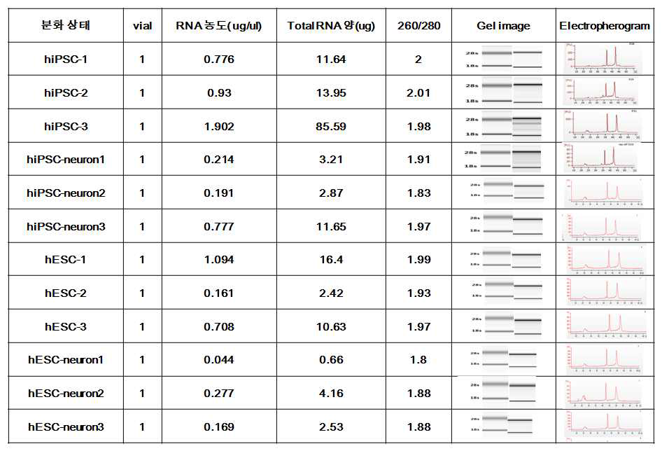 Microarray 분석을 위한 RNA 샘플 quality 분석
