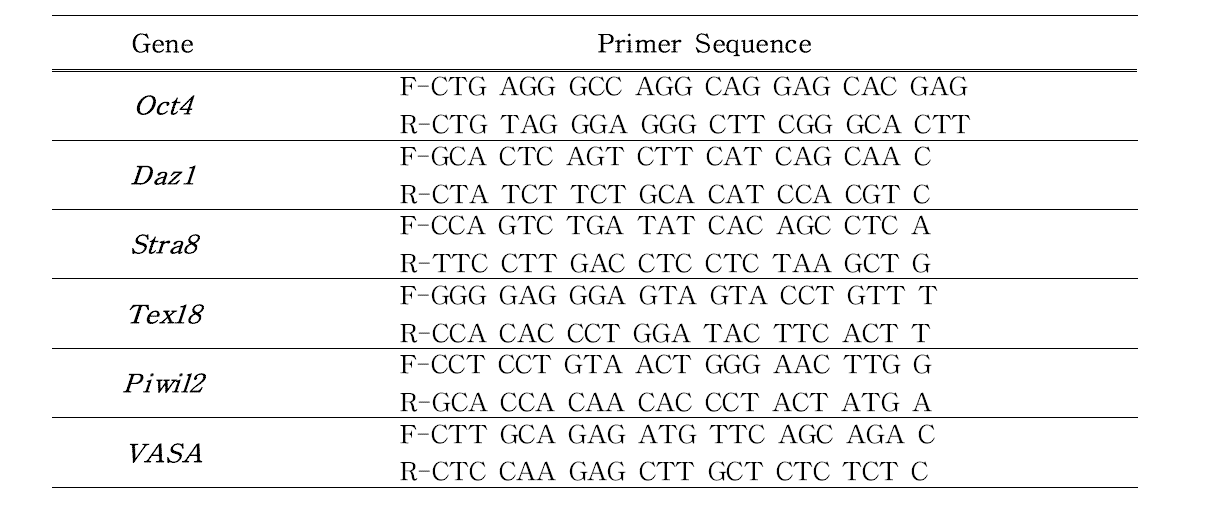 PCR 수행을 위한 primer sequence
