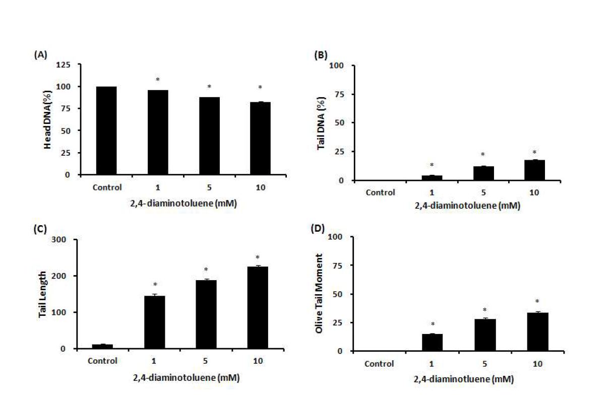 Comet assay를 이용한 2,4-diaminotoluene(2,4-DAT)에 대한 수컷 생식줄기세포 독성