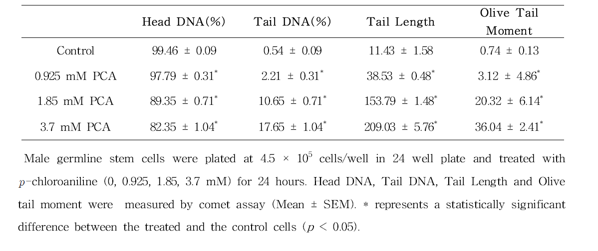 Comet assay를 이용한 -chloroaniline(PCA)에 대한 수컷 생식줄기세포 독성