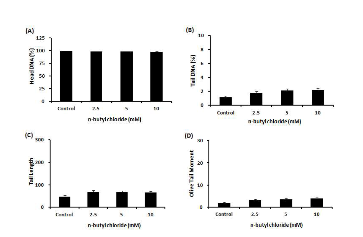 Comet assay를 이용한 n-butyl chloride(NBC)에 대한 수컷 생식줄기세포 독성