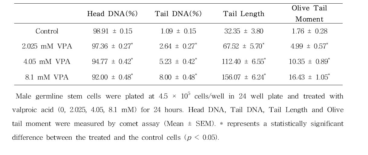 Comet assay를 이용한 valproic acid(VPA)에 대한 수컷 생식줄기세포 독성