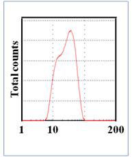 Hydrodynamic size