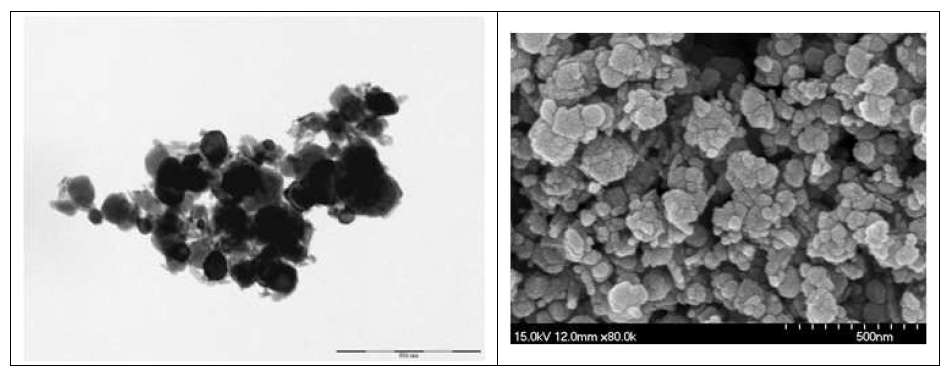 산화철의 TEM 및 SEM 사진