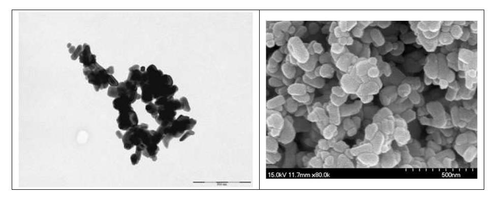 산화철의 TEM 및 SEM 사진