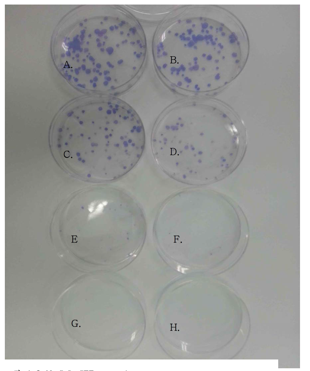 Na2CrO4 CFE assay plate.