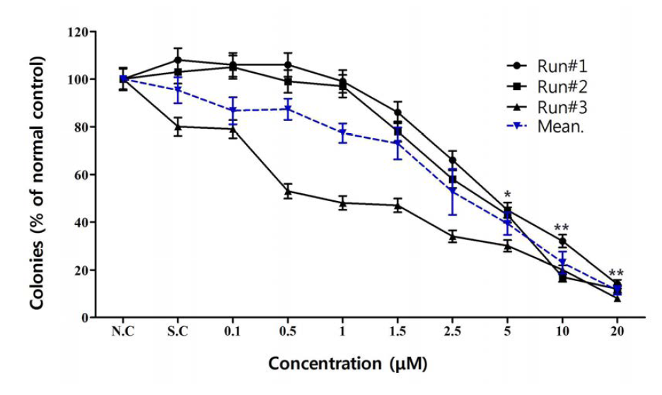 Colony Forming Efficiency (CFE) of MDCK cells exposed for 72 h to NP code E (silver nanoparticle <20 nm).