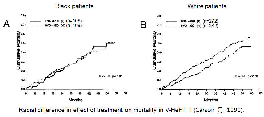 V-HeFT II 임상시험에서 치사율에 대한 치료제 영향의 인종간 차이