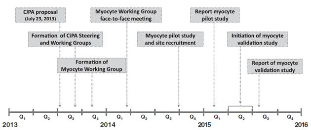 Myocyte Working Group의 일정표