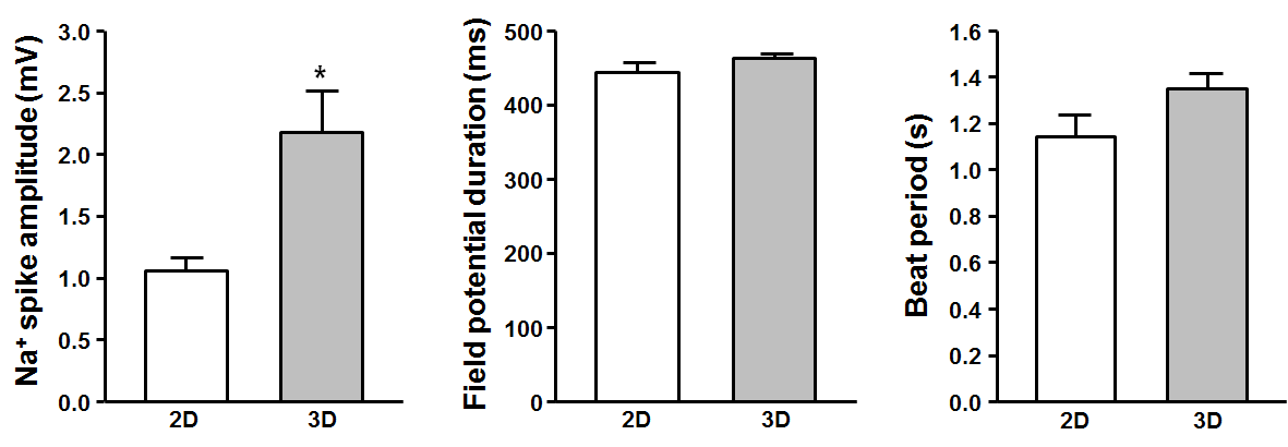 2차원 세포 모델과 3차원 microtissue spheroid의 field potential 측정지표 비교