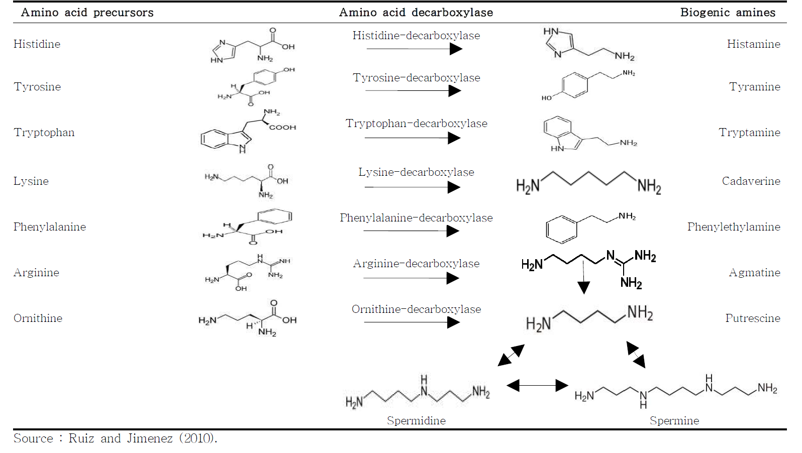 수산물의 바이오제닉 형성에 대한 아미노산 전구체 및 이의 관련 효소
