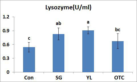 실험사료에 의한 8주간 사육실험 후, 무지개송어 면역분석 Lysozyme
