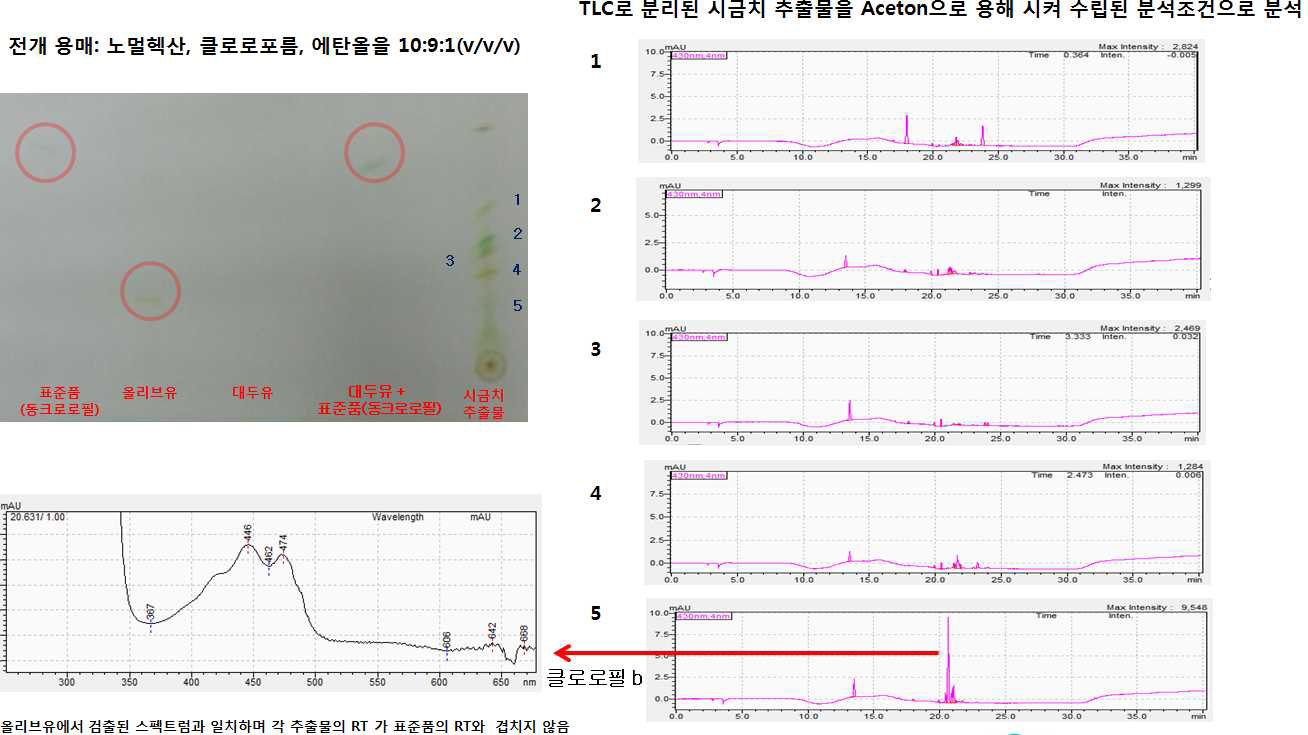 TLC를 이용한 동클로로필 정성분석