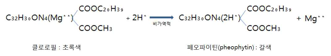 클로로필의 비가역적 변화