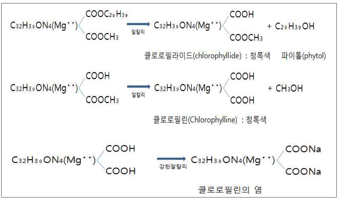 클로로필의 알칼리에 의한 가수분해 과정