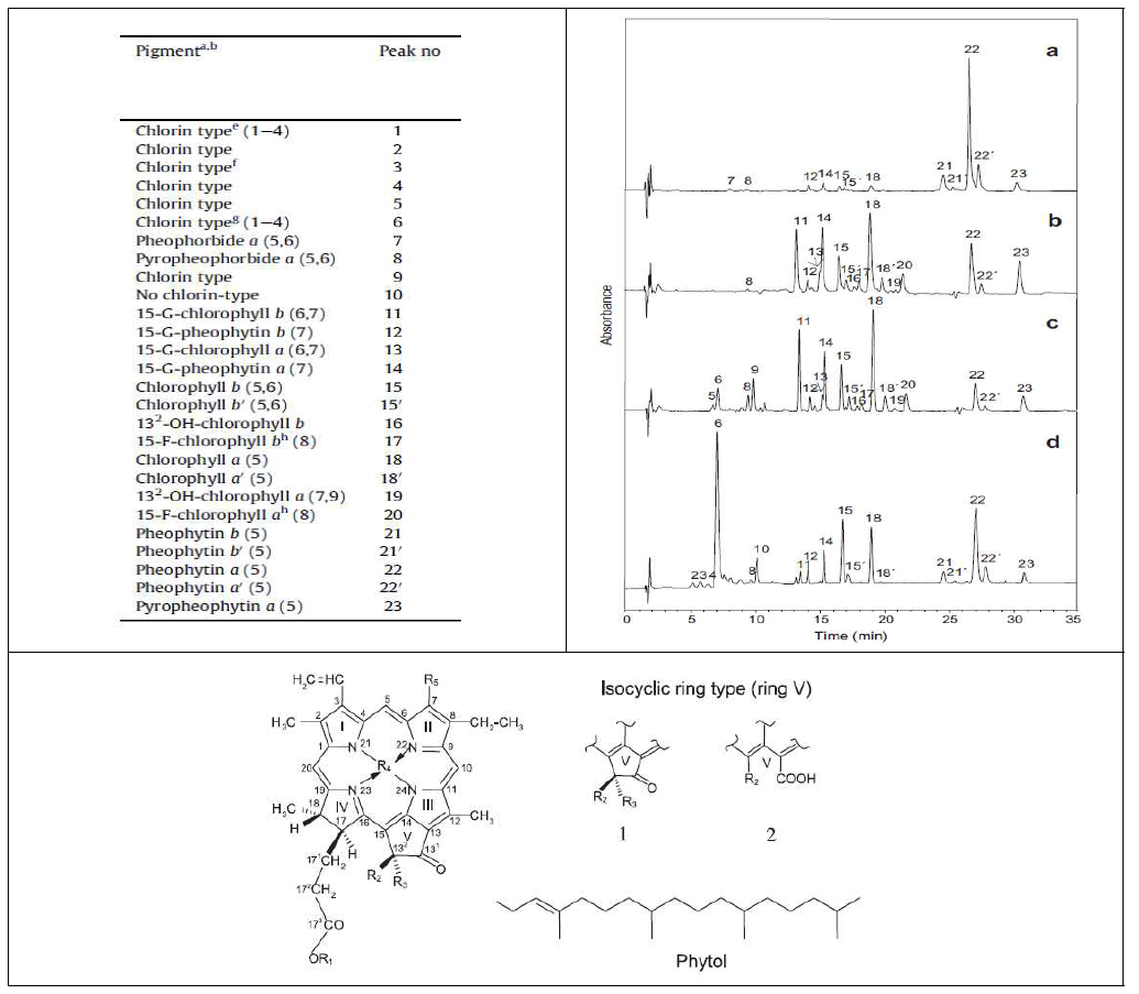 클로로필 유도체류의 HPLC 크로마토그램 및 구조