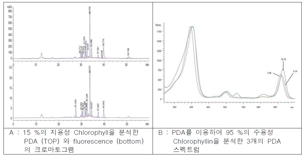 동클로로필의 HPLC 크로마토그램과 스펙트럼