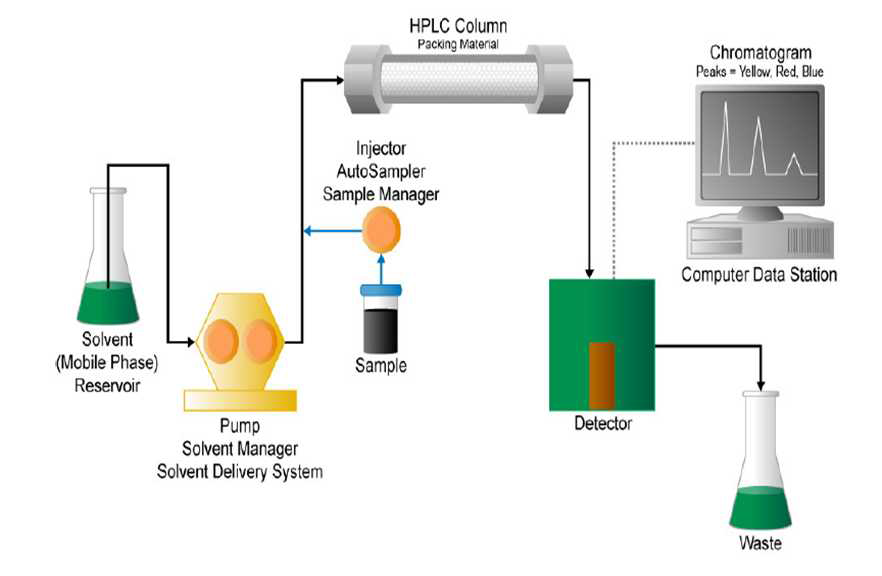 HPLC의 구조 및 원리