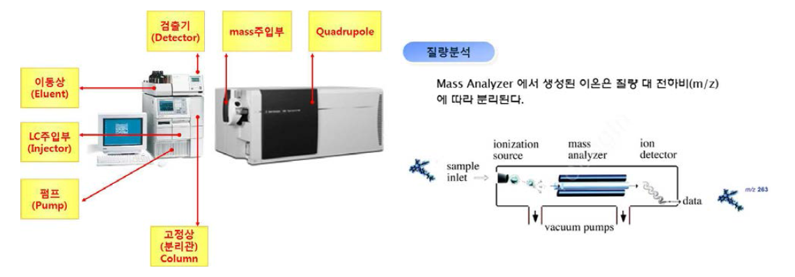 LC-MS/MS의 구조 및 원리