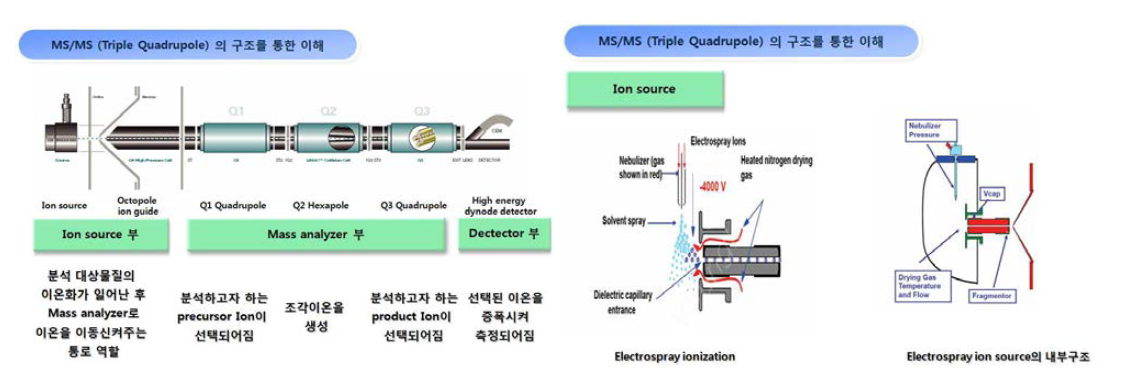 LC-MS/MS 핵심부위 Triple Quadrupole의 원리 및 구조