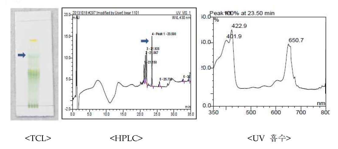 TLC 및 HPLC 크로마토그램 및 동클로로필 흡수 파장