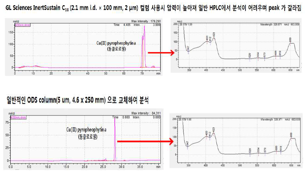 Column에 따른 동클로로필 HPLC 크로마토그램